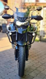Triumph Tiger 900 GT Pro mit Sonderausstattung  - TRIUMPH TOURER