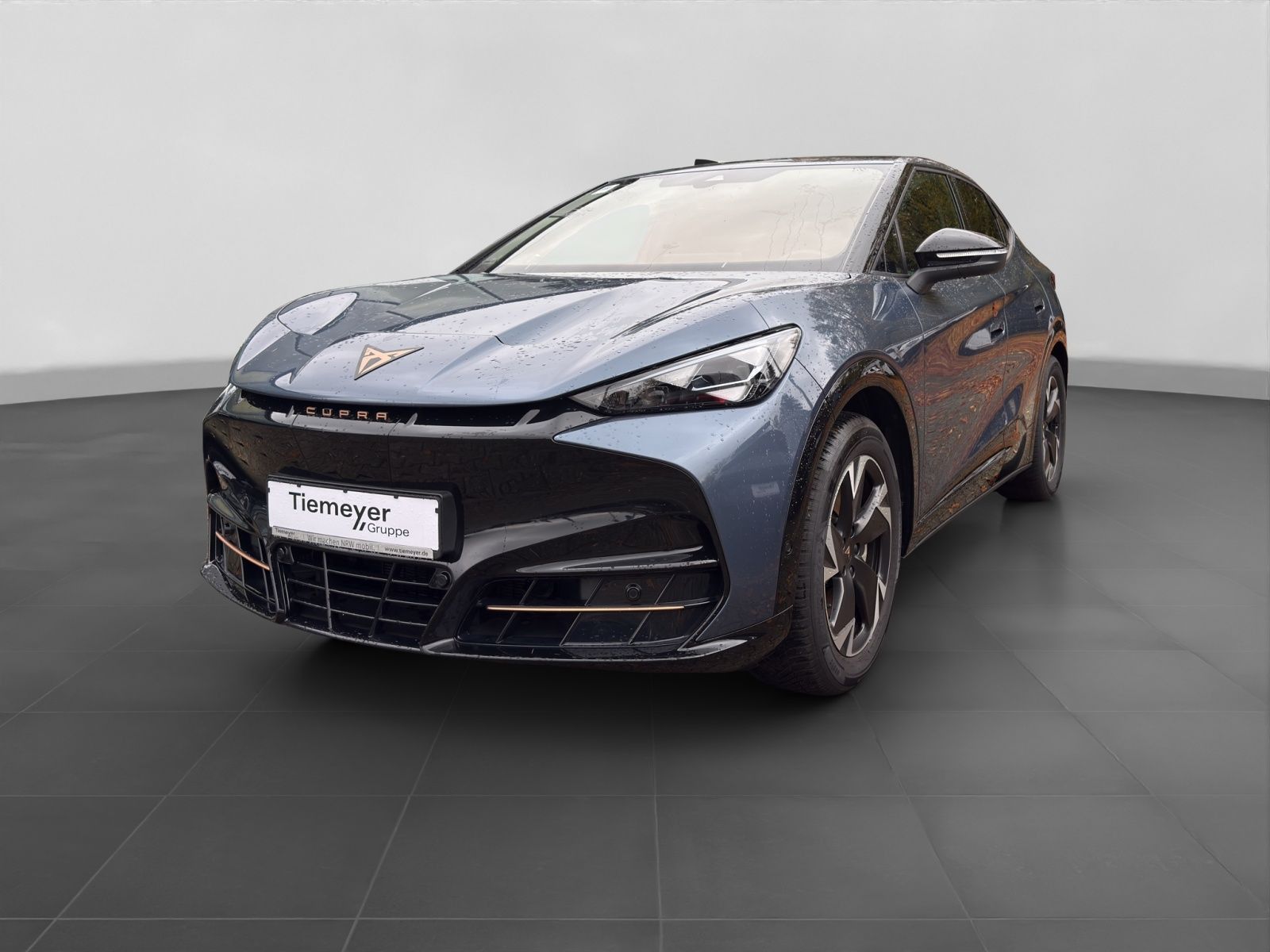 Cupra Tavascan Endurance SIDE-ASSIST W-PUMPE MATRIX PA imagem 2
