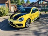 Volkswagen Beetle GSR, 2.0 TSI DSG , #1254 of 3500 - Volkswagen Beetle: Gsr