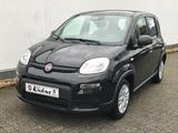 Fiat Panda 1.0 GSE Hybrid 2024 Sitzheizung Fahrerseit - Fiat Panda Gebrauchtwagen in Aachen