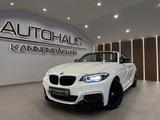 BMW 220d Cabrio M Sport*LED*LEDER*NAVI*RFK* - gebrauchte BMW 220 aus dem Jahr 2019