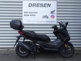 Honda NSS 350 Forza | ABS | 6 Jahre Garantie |