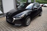 Mazda 2 115PS Sports-Line Tec-P Navi Matrix-LED Kamera - Mazda 2: Sport