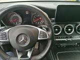 Mercedes-Benz GLC 43 AMG 4Matic Perf.Auspuff, Night,Distronic+ - Mercedes-Benz GLC 43 AMG aus 2019