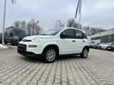 Fiat New Panda 1.0 *Klimaanlage Radio DAB ESP* - Fiat New Panda: Kleinwagen