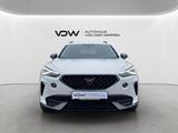 Cupra Formentor TSI DSG Navi Full Link Kamera SHZ - Cupra Formentor mit Benzin-Antrieb: Geländewagen