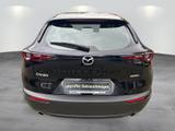 Mazda CX-30 "SELECTION" "ACT-P" M Hybrid - Mazda CX-30 Gebrauchtwagen in Berlin