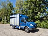 Iveco Daily 65C15 viehtransport livestock apk 3-27 - Angebote