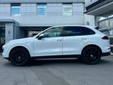 Porsche CAYENNE 3.0TDI LEDER FACELIFT AHK BI-XENON - Porsche Cayenne mit Diesel-Antrieb: 3.0