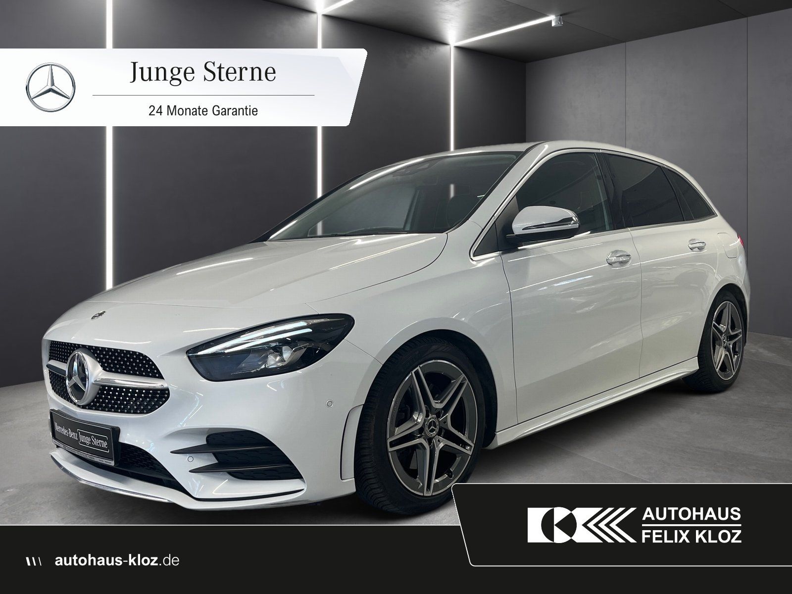 MERCEDES-BENZ B 250 4M AMG*LED*Kamera*Easy-Pack*AHK-Vorbereit*