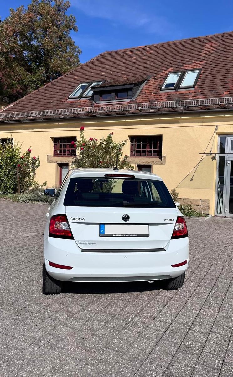 Skoda Fabia mit Sitzheizung und Apple CarPlay 