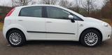 Fiat Punto 1.4 8V Active  Top Zustand 1.Hand - Fiat Punto: 1.4