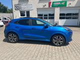 Ford Puma Hybrid ST-Line X Navi  Panoramadach - Ford Puma: ST X