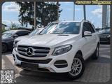 Mercedes-Benz GLE 250 d 4Matic Navi. RFK. Sitzh. AHK. BT - gebrauchte Mercedes-Benz GLE 250 aus dem Jahr 2017