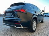Lexus NX 300 300h Business Line - Lexus NX 300 Gebrauchtwagen