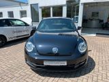 Volkswagen Beetle Lim. +Sitzheiz/Tempo/CD Radio+ - aus 2012: Kleinwagen
