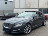 Jaguar XJ 3.0D R-Sport / Pano / LED / 360/ - Jaguar XJ: L