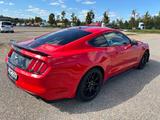 Ford Mustang 2.3 EcoBoost  - Ford Mustang: Ecoboost