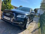 Audi SQ5 3.0 TDI tiptronic quattro - - Audi SQ5 in Osnabrück