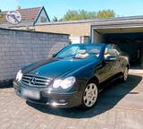 Mercedes-Benz Mercedes Cabrio CLK 200 Kompressor - Mercedes-Benz CLK 200 in Köln