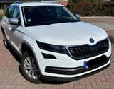 Skoda Kodiaq 2.0 TSI DSG 4x4 SCOUT 7-Sitze - Skoda Kodiaq: Scout