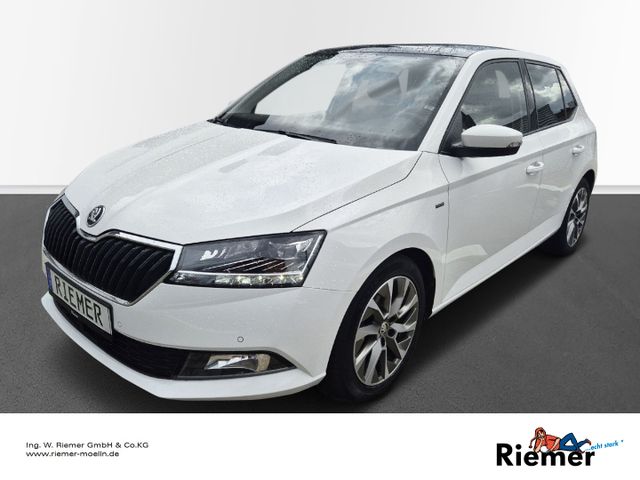 Skoda Fabia 1.0 TSI Clever Best of PDC ACC LED SHZ Sma