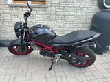 Suzuki SV 650 mit TÜV , Koffer , neue Reifen , Zubehör  - SUZUKI 650 SV N