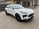 Porsche Macan - - - Porsche Gebrauchtwagen in Delmenhorst