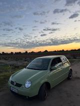 Volkswagen Lupo 1.0 BASIS Basis - Volkswagen Lupo: 1.0