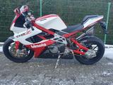 Bimota DB 7 - SPORTLER VON 1001 BIS 1500 CCM