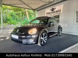Volkswagen Beetle Lim. Cup TSI  *Panorama *Navi * SHZ *PDC - Volkswagen Beetle in Düsseldorf