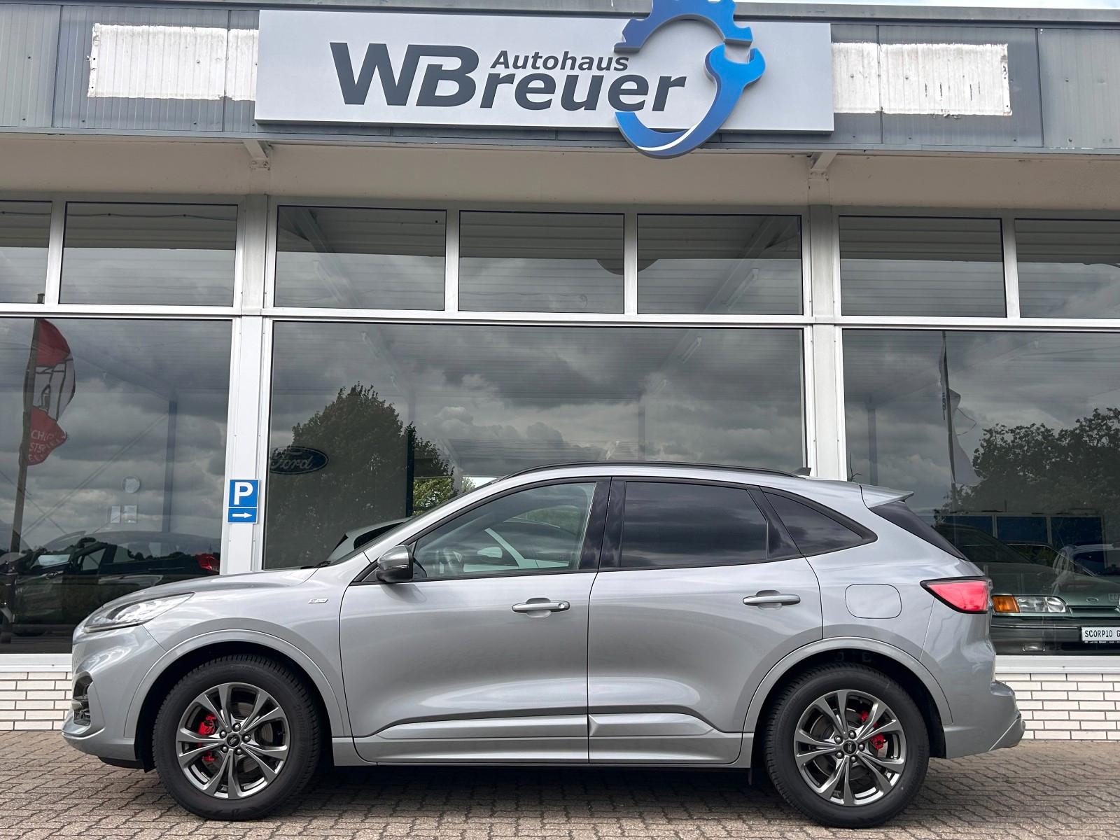 Ford Kuga ST-Line X Ganzjahresreifen B&O