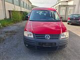 Volkswagen Caddy Life Gewinner Caddy kLIMA - Volkswagen Caddy: Gewinner
