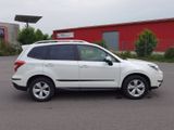 Subaru Forester Exclusive, 4x4, CAMERA, PANORAMA, SHZ! - Subaru in Leipzig