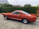 Ford Mustang Fastback GT 289 Schalter TÜV neu - Ford Mustang aus 1966: Fastback