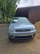 Ford Fusion Plus - Ford Fusion: Plus