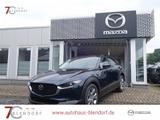 Mazda CX-30 Exclusive-Line 140 Matrix-LED|BOSE|Alexa - Mazda CX-30 Tageszulassungen
