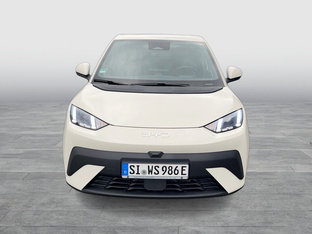 BYD DOLPHIN SURF