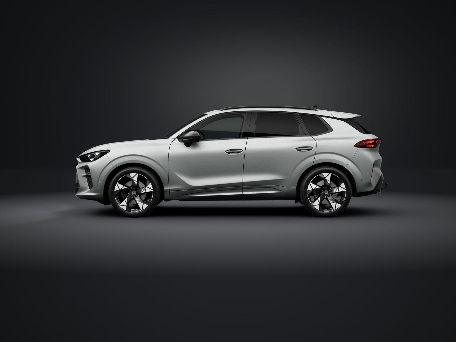 Cupra Terramar 2.0 TSI Matrix PANO AHK Sennheiser 360°