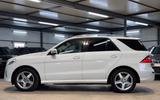Mercedes-Benz ML 350 CDI BlueTec AMG*AHK*SITZ*AIR - Mercedes-Benz ML 350 in Frankfurt (Main)
