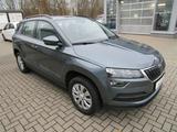 Skoda Karoq Active+WR - Skoda Karoq: Active