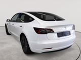 Tesla Model 3 Langstreckenbatt. Allradantrieb - Tesla