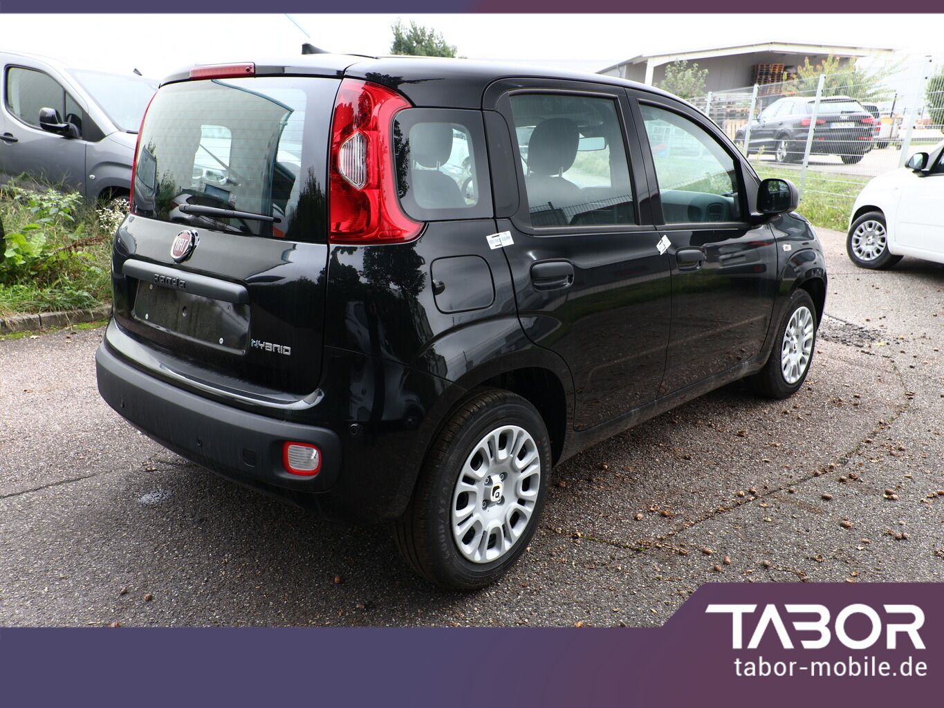 Fiat Panda - Bild 3