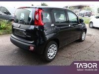 Fiat Panda - Vorschau Bild 3