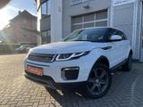 Land Rover Range Rover Evoque Si4 Leder+Navi+Sitzh+Xenon - Land Rover: Weiß