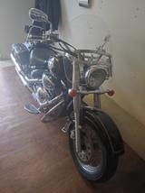 Suzuki volusia 800 - Angebote