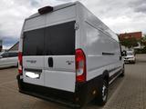 Fiat Ducato Maxi L4 H2 - gebrauchte Fiat Ducato aus dem Jahr 2018