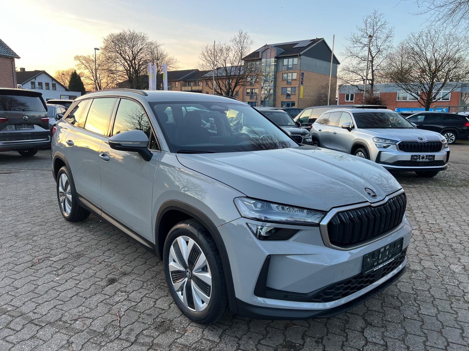 Skoda Kodiaq 1.5 TSI mHEV Selection ACC AHK Matrix