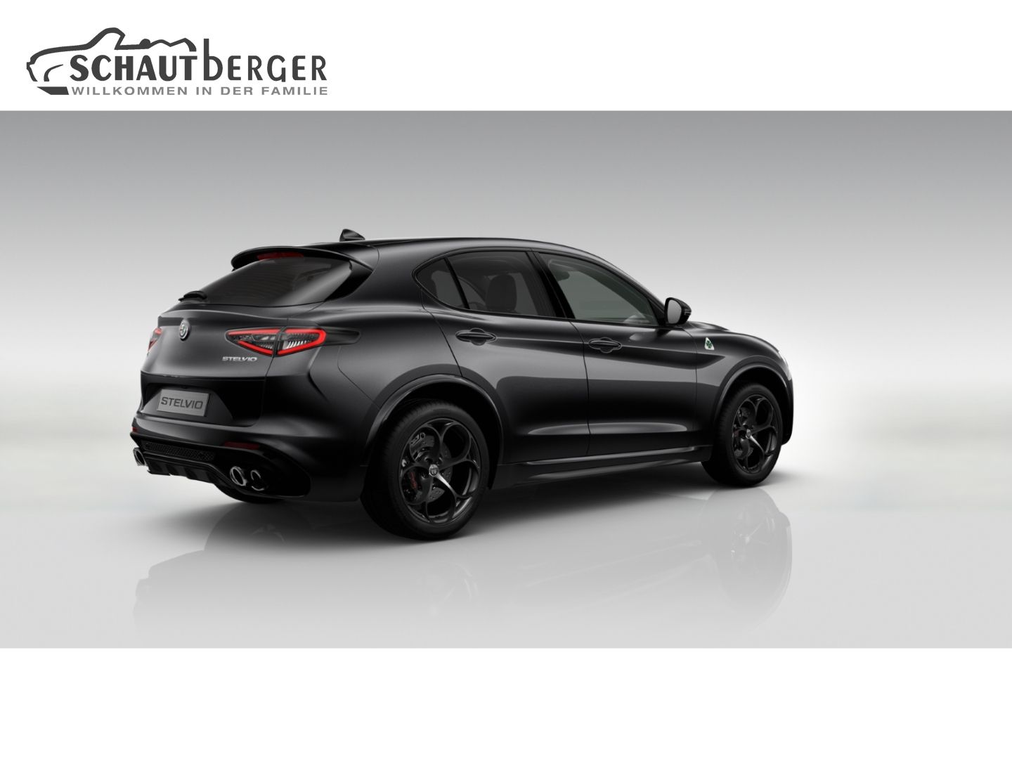 Alfa Romeo Stelvio - Bild 3