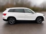 Skoda Kodiaq 2.0 TSI DSG Pano 360 Vollleder Columbus  - Skoda Kodiaq von privat